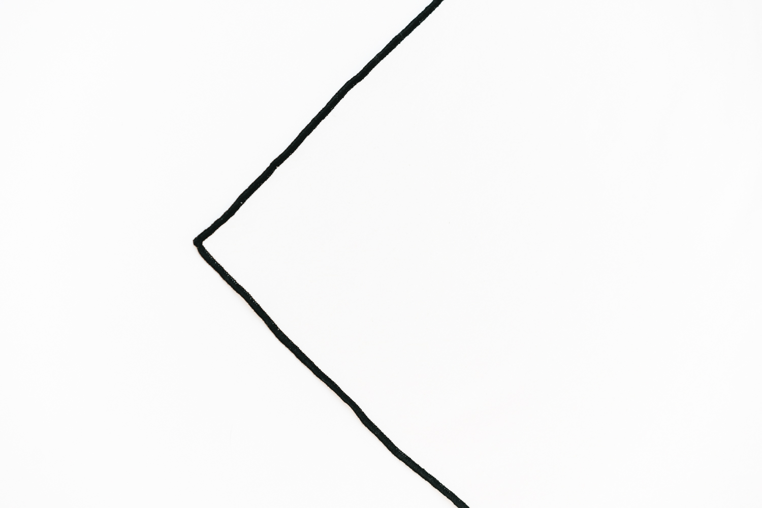 2025-02-18 16.42.46.jpg