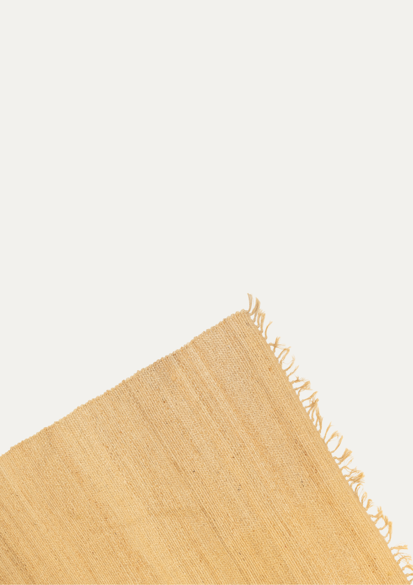 jutta with fringes rug.png